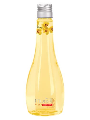 Acqua Essence Vanilla - وانیلا آکوا اسنس