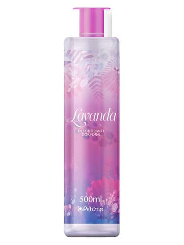Lavanda - لاواندا