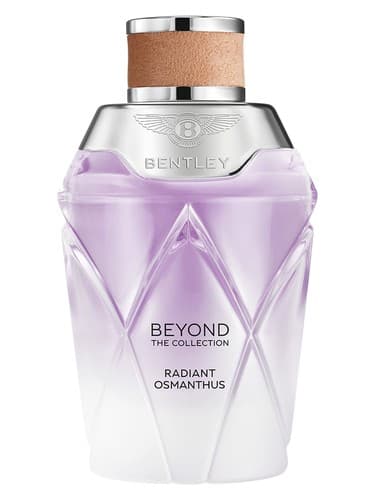 Radiant Osmanthus - عثمانتوس تابشی