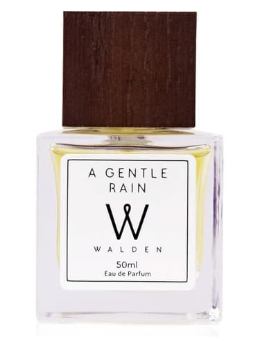 A Gentle Rain