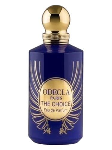 The Choice - انتخاب