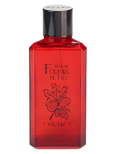 Água de Folhas de Figo 