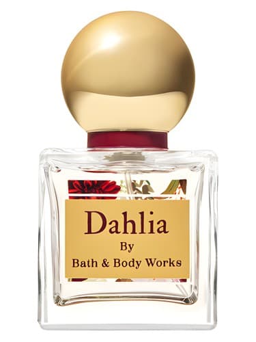 Dahlia - کوکب