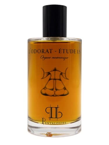 Etude 1.5: L’Odorat