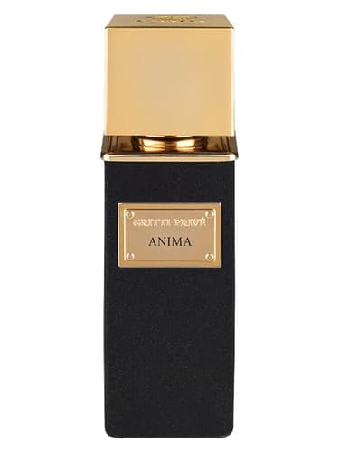 Anima - انیما