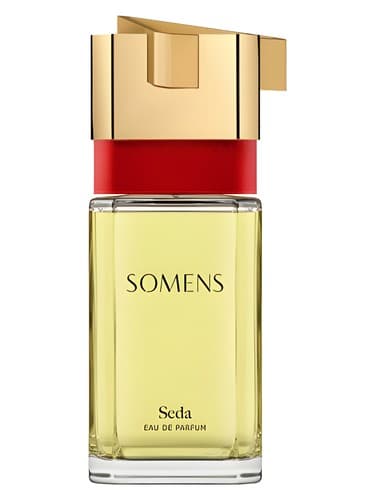Seda - صدا