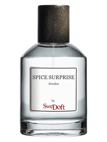 Spice Surprise - سورپرایز ادویه