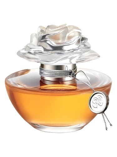 In Bloom by Reese Witherspoon - در بلوم اثر ریس ویترسپون