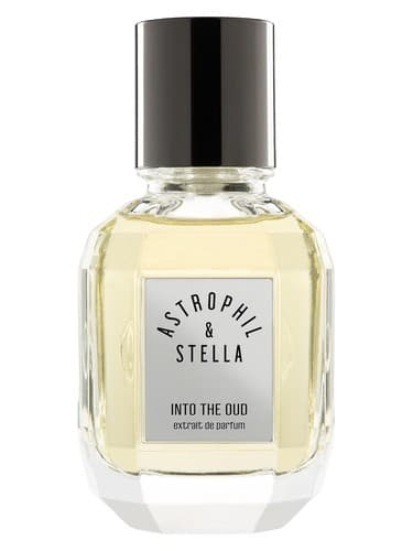 Into The Oud