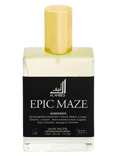 Epic Maze - ماز حماسی