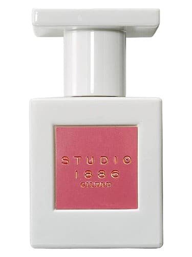 Gilded - طلاکاری شده