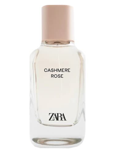 Cashmere Rose - رز ترمه