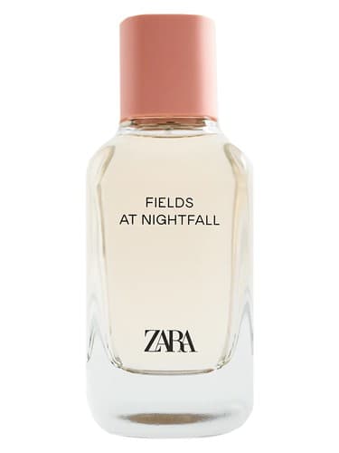 Fields at Nightfall 2020 - فیلدز در نایت 2020