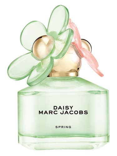 Daisy Spring - دیزی اسپرینگ