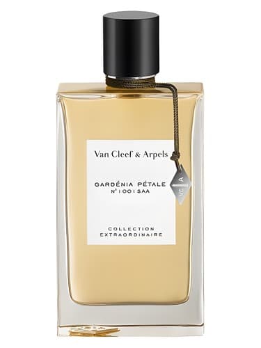 Gardenia Petale - گلبرگ گاردنیا