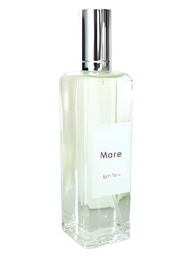 Mare - مادیان
