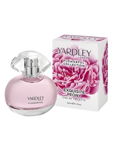 Exquisite Peony - گل صد تومانی نفیس
