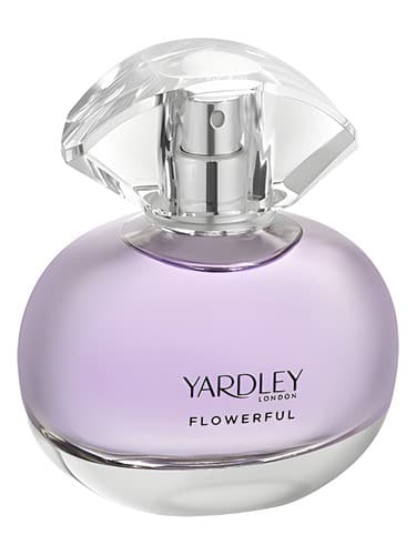 Elegant Iris