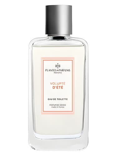 Volupté d’Eté 