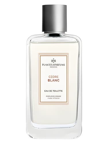 Cèdre Blanc - سدر بلان