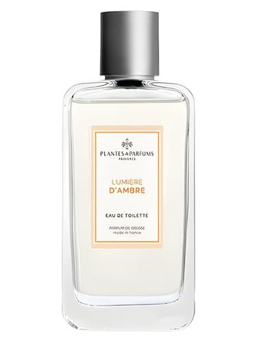 Lumière d’Ambre