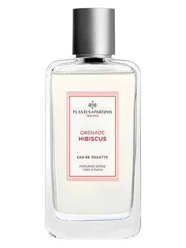 Grenade Hibiscus - نارنجک هیبیسکوس