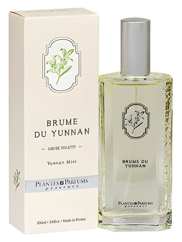 Brume du Yunnan