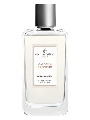 Gardenia Précieux