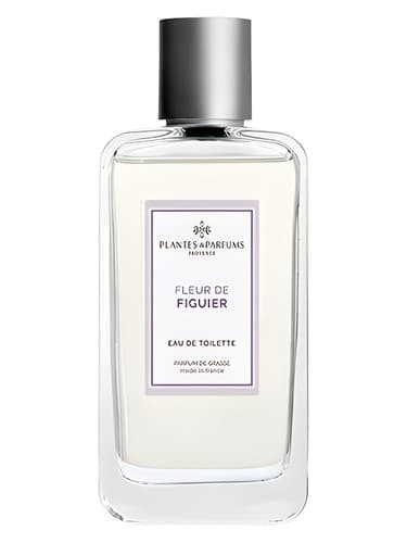 Fleur de Figuier - فلور دو فیگویه