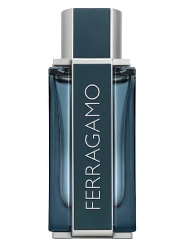 Ferragamo Intense Leather - چرم فشرده فراگامو