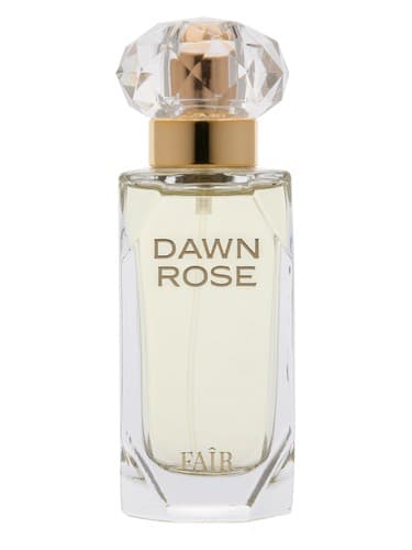 Dawn Rose - سحر رز