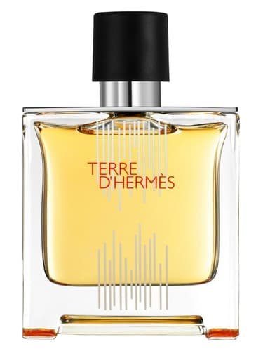 Terre d'Hermes Flacon H 2021 Parfum - پرفیوم Terre d'Hermes Flacon H 2021