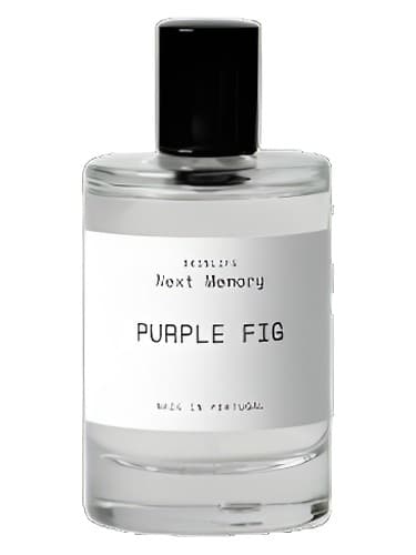Purple Fig - انجیر وایولت
