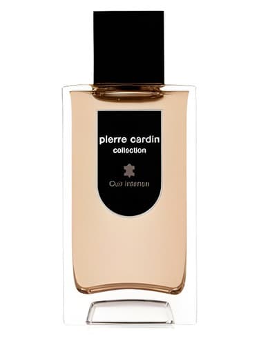 Pierre Cardin Collection Cuir Intense