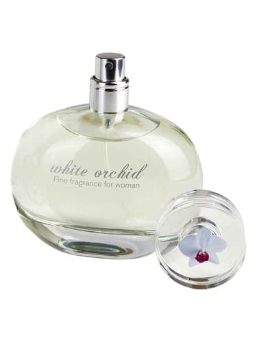 White Orchid - ارکیده وایت