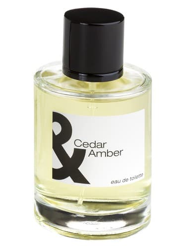 Cedar & Amber - سدر و امبر