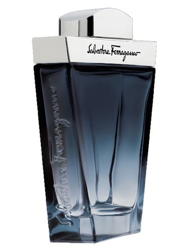 Salvatore Ferragamo Subtil Pour Homme