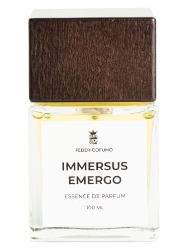 Immersus Emergo 
