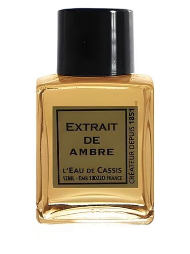 Ambre