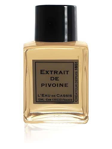 Pivoine
