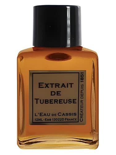 Tubereuse
