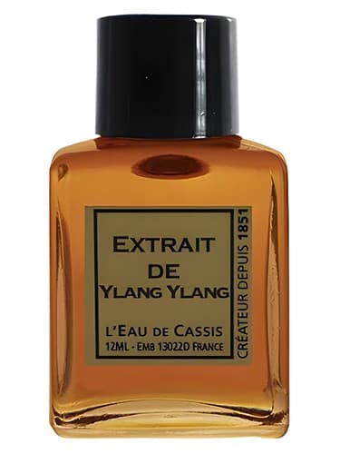 Ylang Ylang