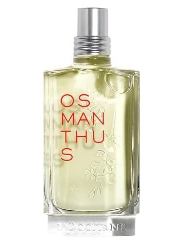 Osmanthus - عثمانتوس