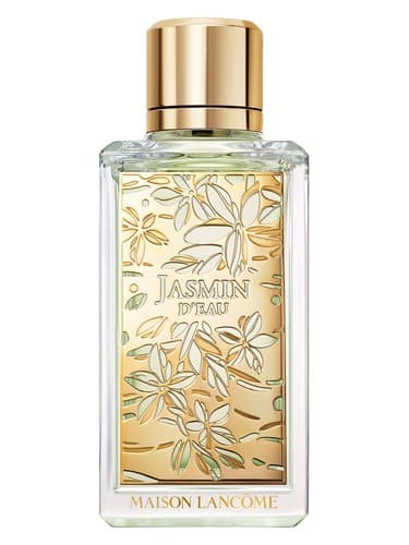 Jasmin D'eau