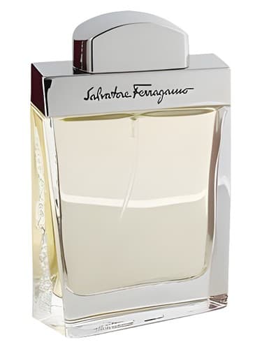 Salvatore Ferragamo Pour Homme - سالواتوره فراگامو پور هوم