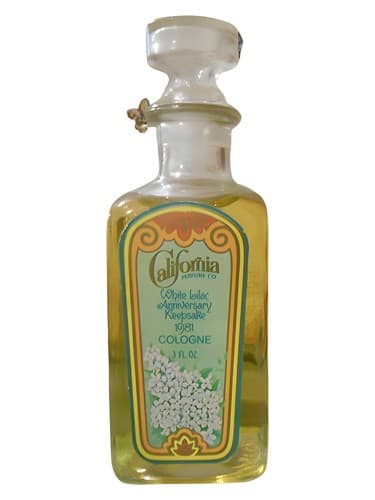 California Anniversary Keepsake White Lilac - یادگاری سالگرد کالیفرنیا یاس وایولت وایت