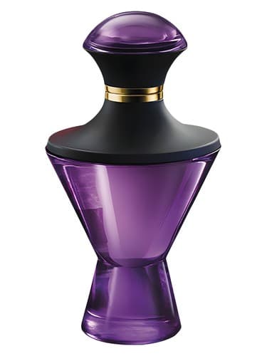 Alchemists Iris - کیمیاگران آیریس