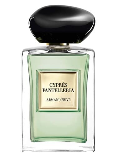 Cyprès Pantelleria