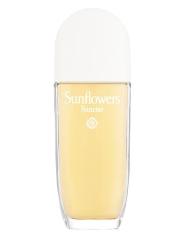 Sunflowers Sunrise - آفتابگردان طلوع آفتاب