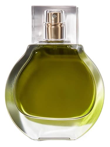 Olive - زیتون